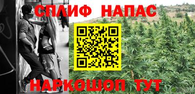 мдпв Ачхой-Мартан