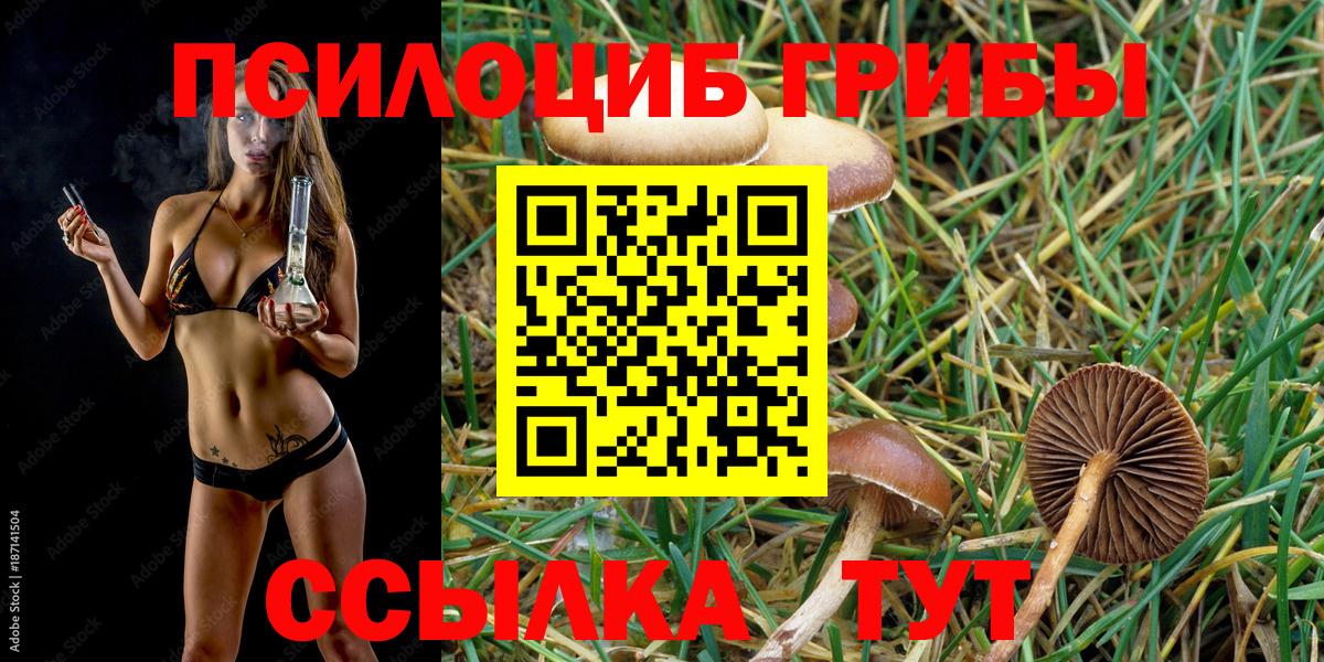 Гурьевск  Псилоцибиновые грибы ЛСД  Галлюциногенные грибы Psilocybe  Вход с VPN 